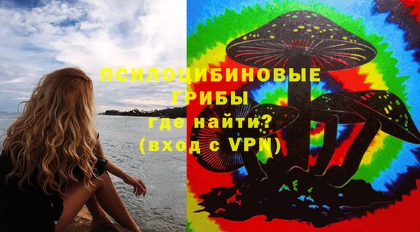 амф Абаза