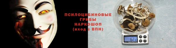 a pvp Алексин