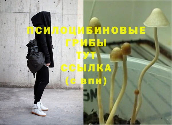 первитин Абдулино