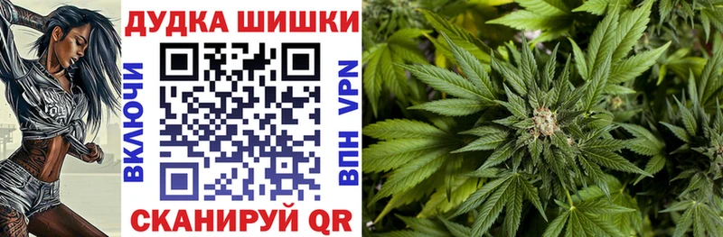 Конопля AK-47  Отрадная 